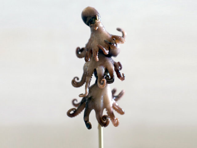 An Octo-lolly will be available at K-Days this year.