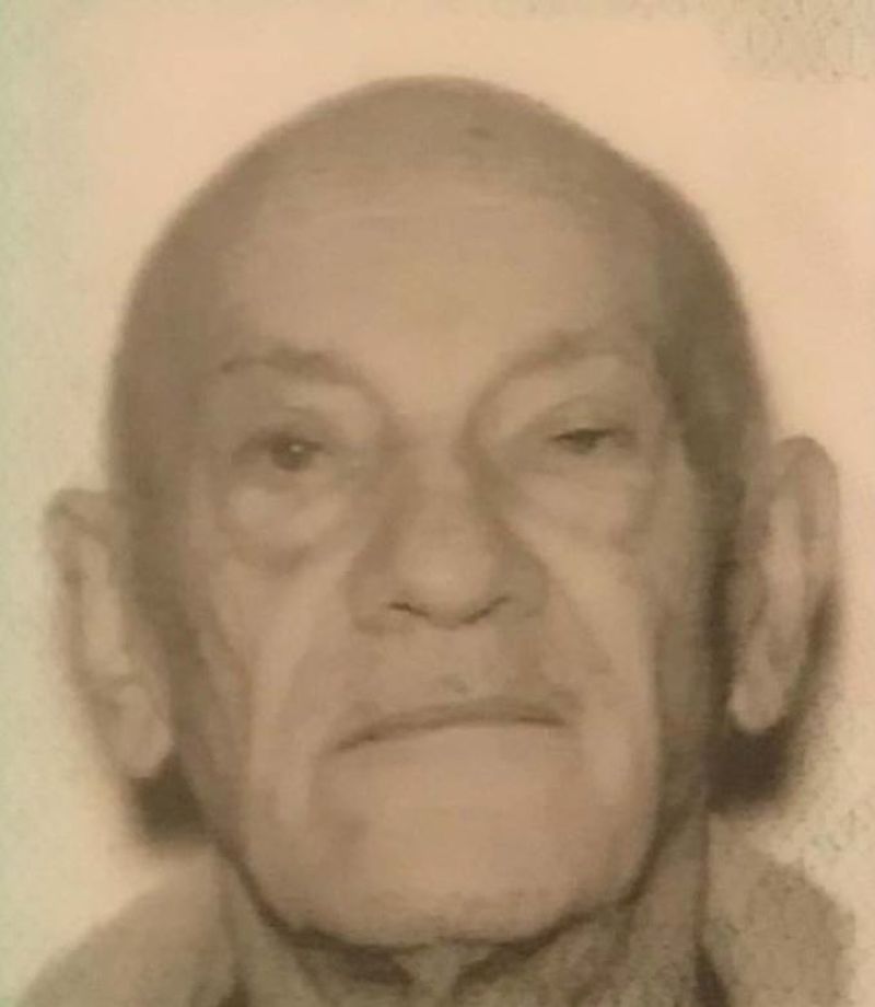 Bodies found in vehicle in Trent-Severn Waterway identified as missing Scarborough seniors: OPP - image