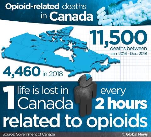 Opioid overdose deaths continue to increase in Canada: PHAC - image