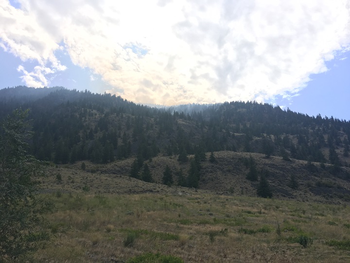 Smoke rises from the wildfire burning near Highway 3 in B.C.\’s Southern Interior.