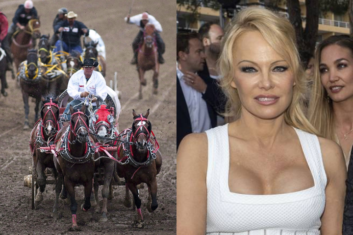 LEFT: Teams compete in a chuckwagon race at the Calgary Stampede in Calgary on July 12, 2010. RIGHT: Pamela Anderson at a fashion show in  Monte-Carlo, Monaco on May 24, 2019.
