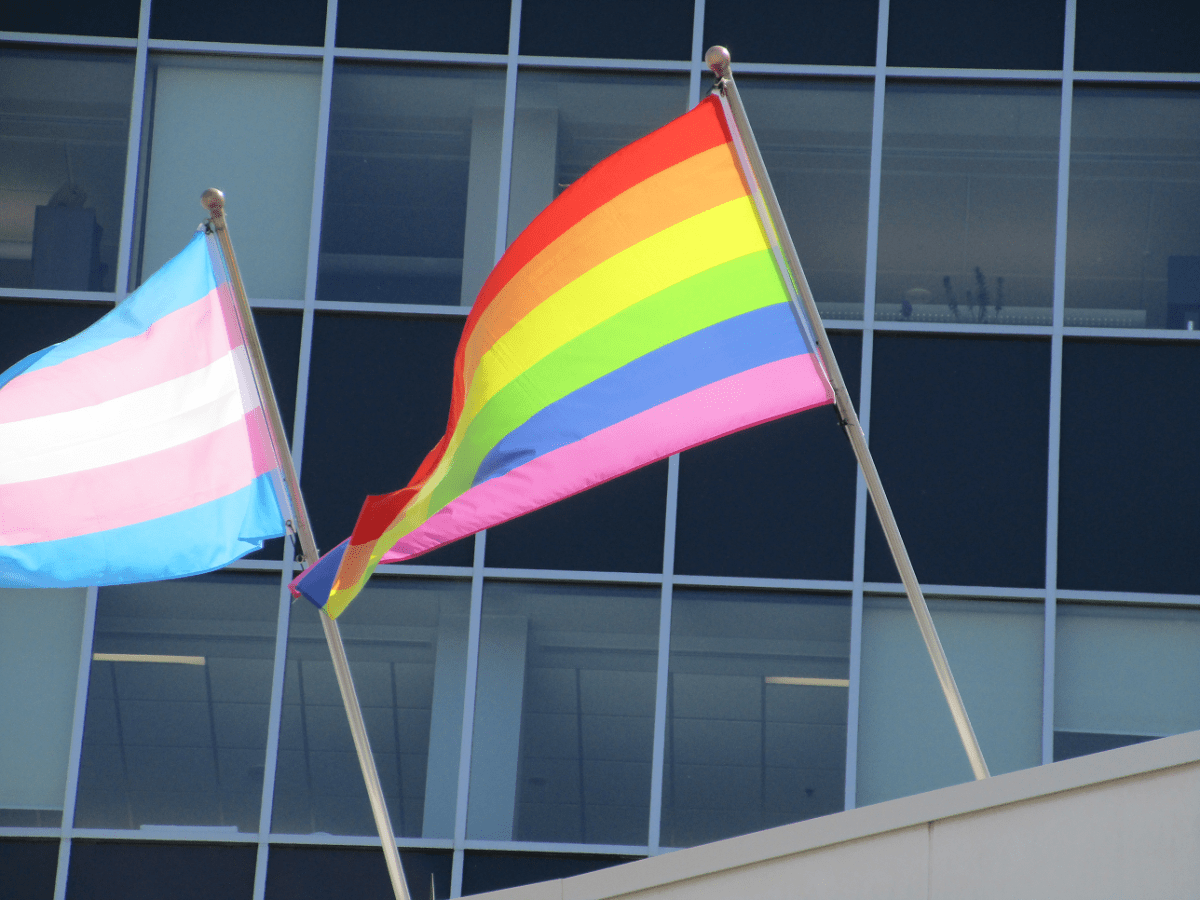 The city raised the Pride and Transgender Pride flags above city hall at the beginning of Pride month, despite the city's LGBTQ2 advisory committee calling on city officials not to do so.