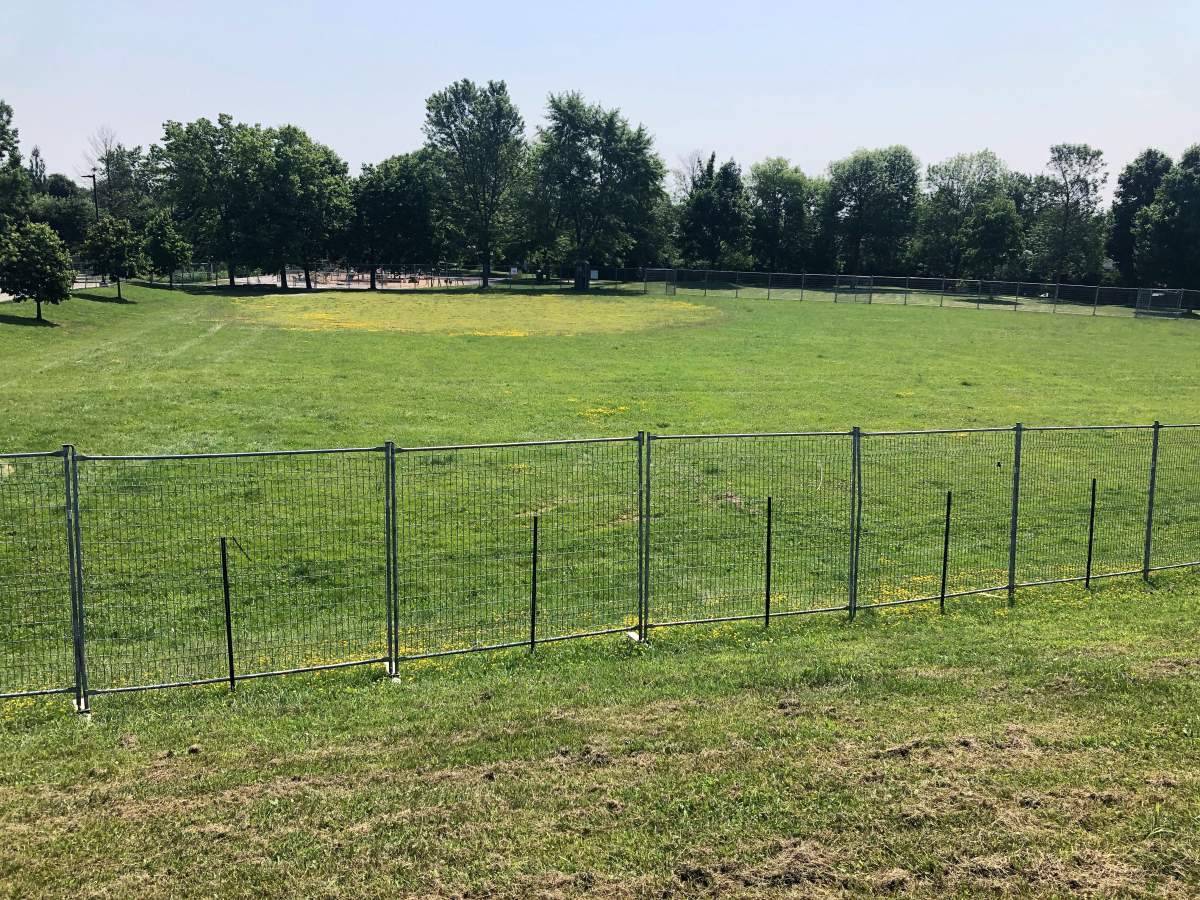 The City of Guelph's first fenced-in dog park opened at Peter Misersky Park in September.