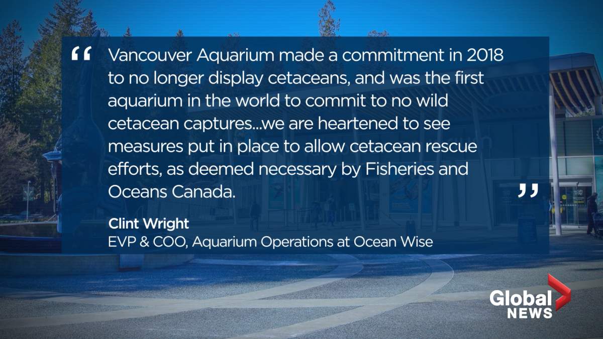 Bill S-203 and the future of marine parks in Canada - image