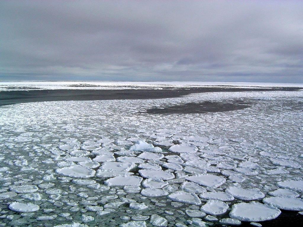 This January 2017 photo provided by Ted Scambos shows sea ice on the ocean surrounding Antarctica during an expedition to the Ross Sea.