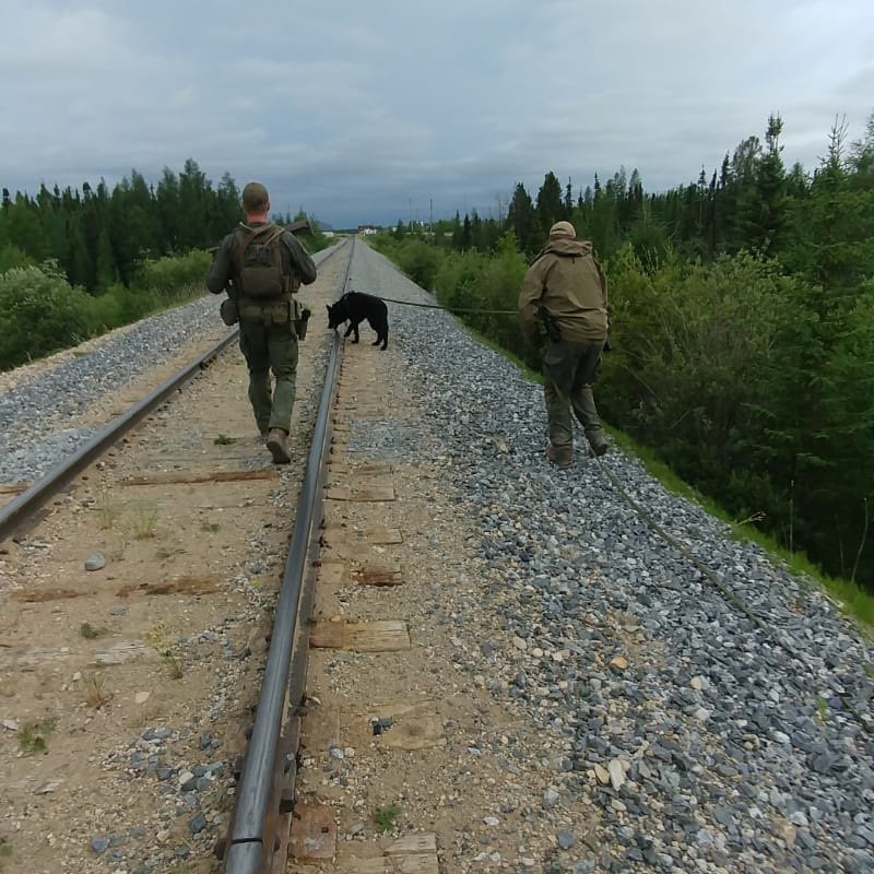 RCMP search the rugged terrain of northern Manitoba for murder suspects Bryer Schmegelsky and Kam McLeod. These photos were provided by the RCMP; it’s unclear which day they were taken.