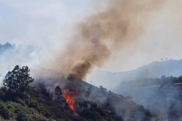 Flames and smoke from a forest fire are seen in the village of Guia, in the Canary Island of Gran Canaria, Spain, Aug. 19, 2019.