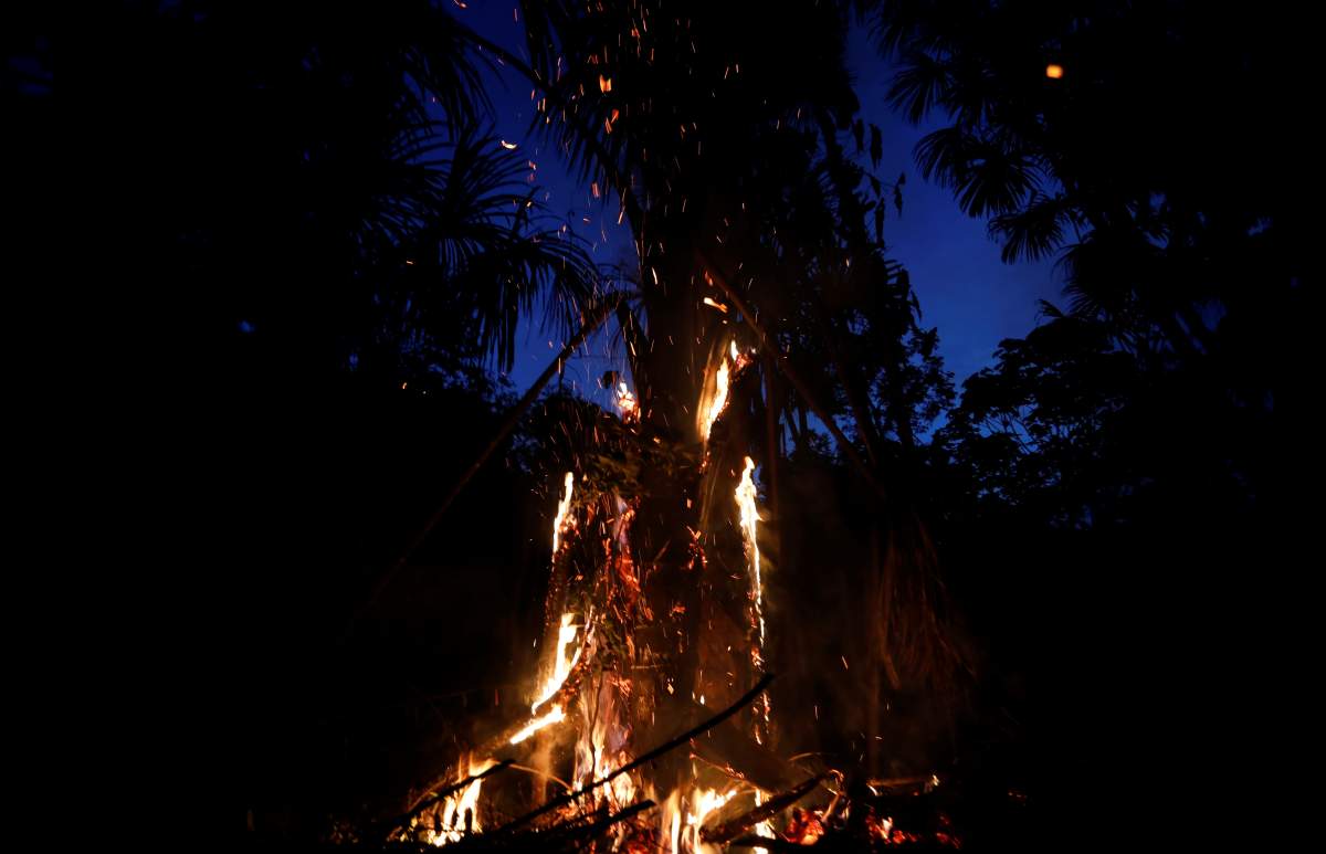 A tract of the Amazon jungle burns as it is cleared in Iranduba, Amazonas state, Brazil August 22, 2019. REUTERS/Bruno Kelly