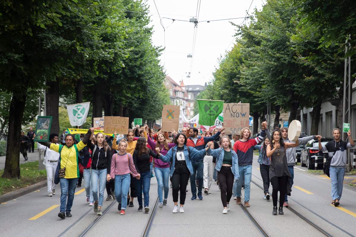 In photos: Protests at Brazilian embassies worldwide as Amazon rainforest fires rage - image