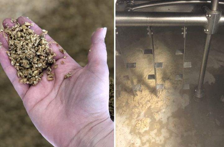 In an effort to showcase local ingredients like malt barley, hops and different berries, Alberta Open Farm Days reached out to a number of craft breweries in the province to see if they would collaborate on a special Open Farm Days beer ale.