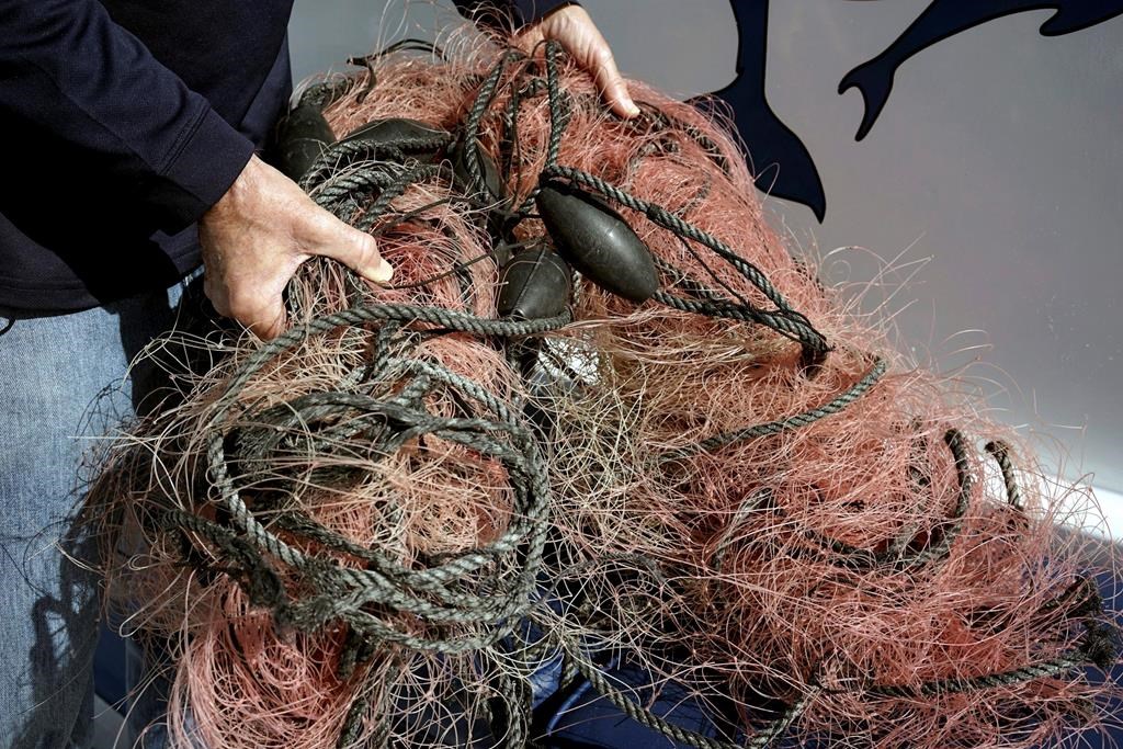 Capt. David Anderson, of Captain Dave's Dolphin and Whale Watching Safari, in Dana Point, Calif., shows a net that a whale was found entangled in Monday, Nov. 30, 2015. THE CANADIAN PRESS/AP-Christine Armario.