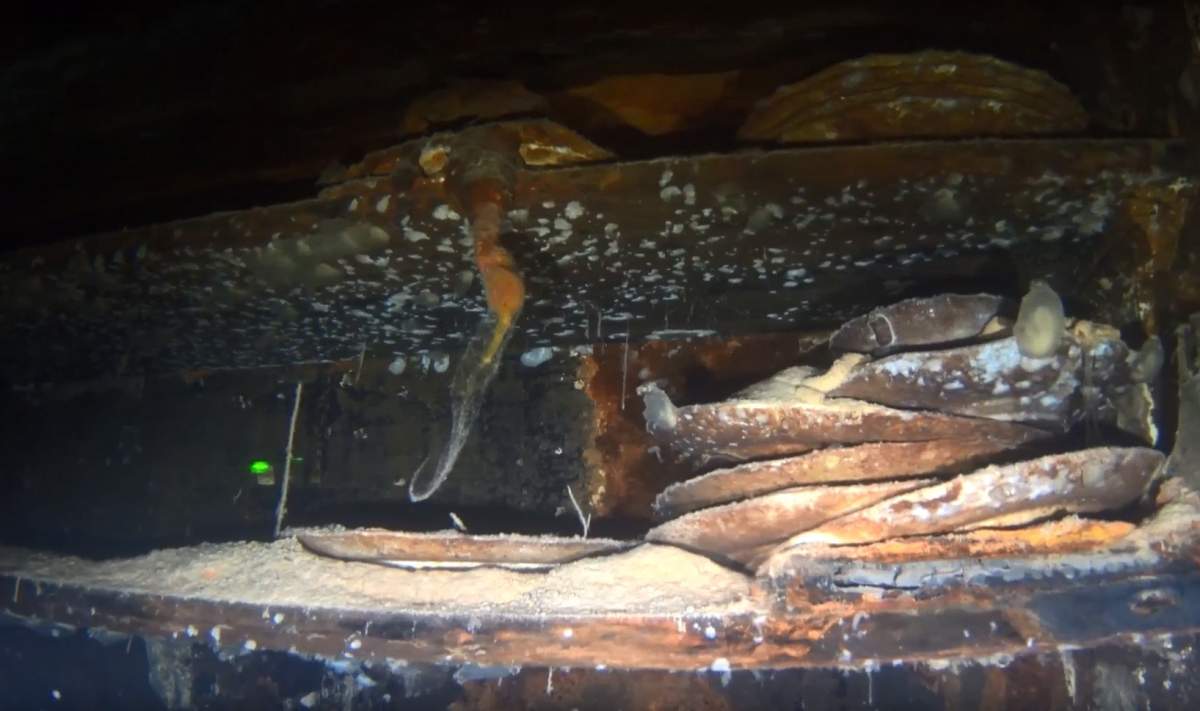 Flatware are seen on shelving in the interior of the HMS Terror shipwreck, in an undated handout still image taken from video footage, in Terror Bay, Nunavut.