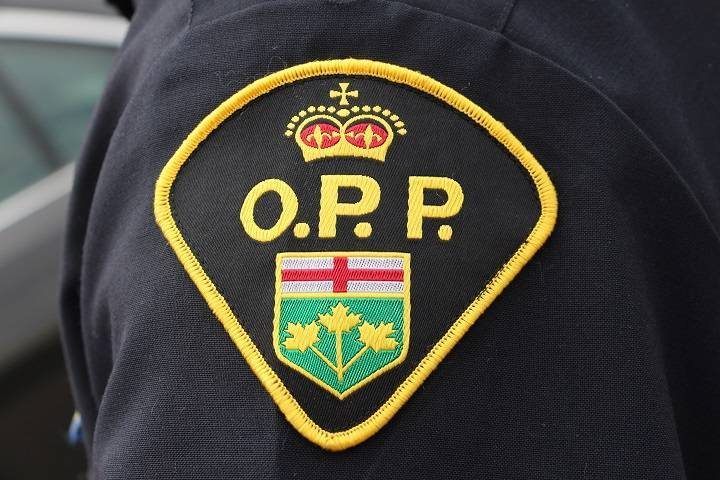 A neighbour describes the suspect as a white male, between 17-20 in age, wearing a grey coat with a red hood, dark jeans and white running shoes.