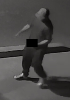 Police in Lindsay seek man allegedly exposing himself to women at night - image