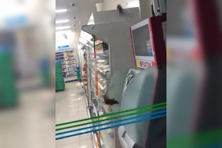 Rats are shown inside a convenience store in Tokyo, Japan, in this video posted on Twitter Aug. 4, 2019.