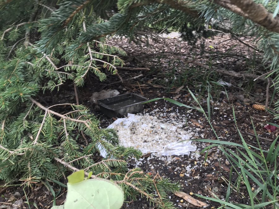 Police investigate suspicious piles of food being left out in northwest Calgary.