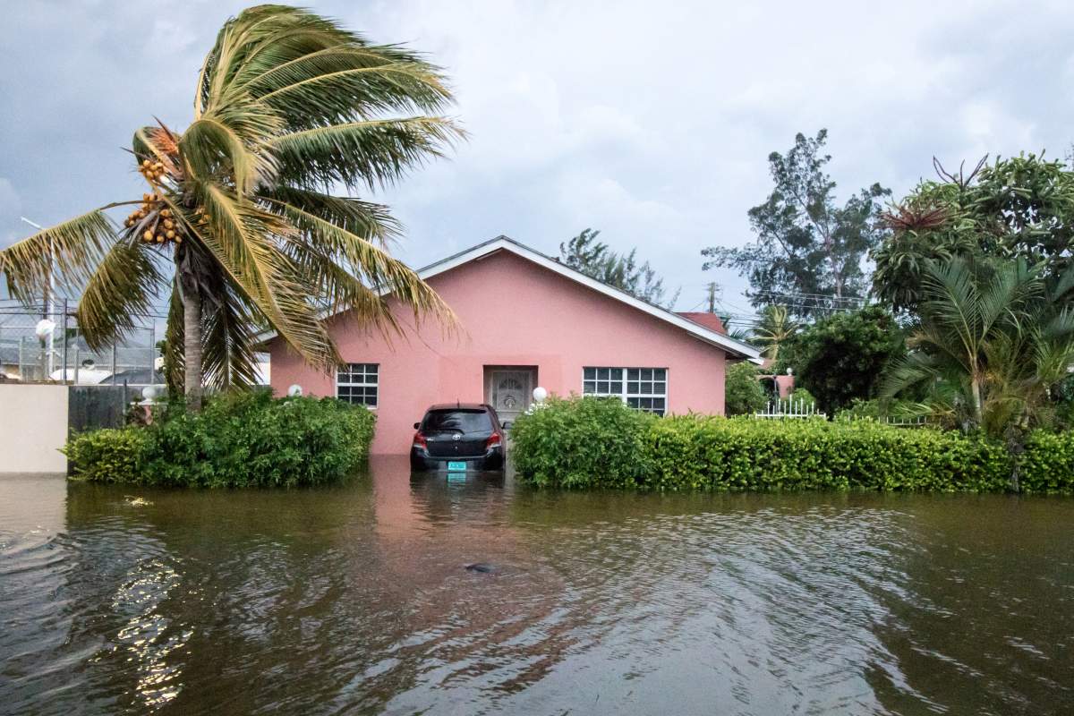 A palm tree bends in the wind next to a flooded street after the effects of hurricane Dorian arrived in Nassau, Bahamas, September 2, 2019. (REUTERS/John Marc Nutt)