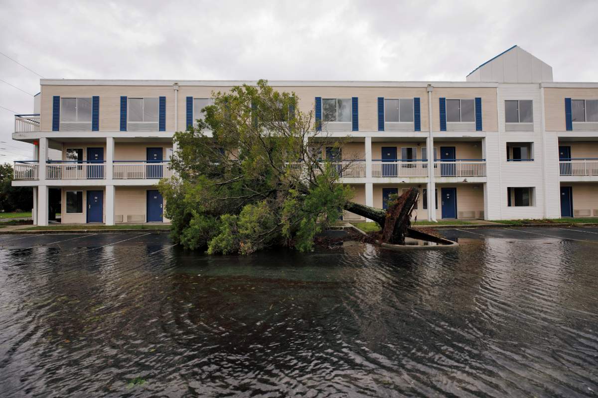 A fallen tree and floodwaters sit in a hotel parking lot after hurricane Dorian swept through, in Wilmington, North Carolina, U.S. (The Associated Press)