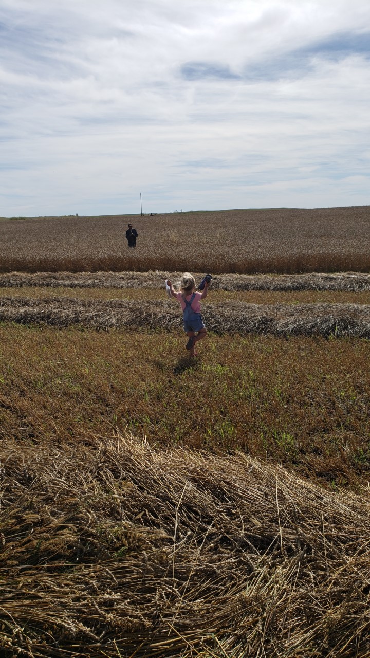 The September 20 Your Saskatchewan photo was taken by Jina Molnar near Melville.