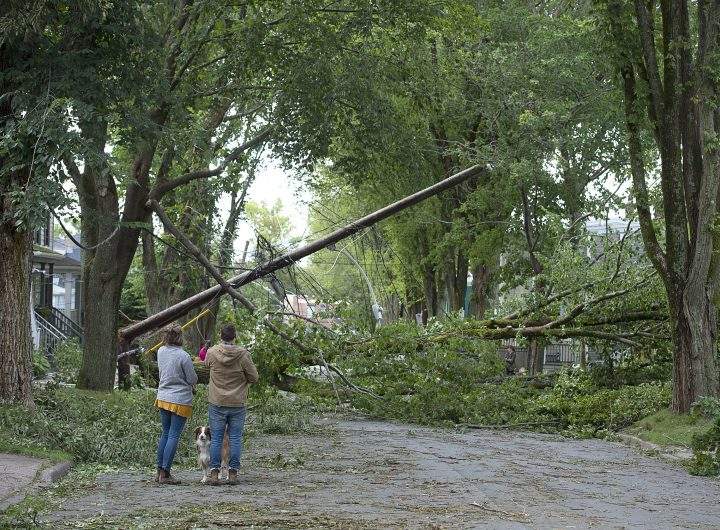 A street is blocked by fallen trees in Halifax on Sunday, Sept. 8, 2019. In an era when storms with hurricane-force winds are expected to keep battering Atlantic Canada, experts say the region should make major changes to electrical grids, shoreline defences and even the types of trees being planted. 