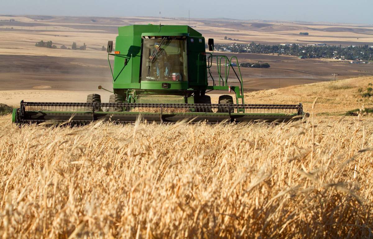 Paterson GlobalFoods plans to build a new oats
mill in Winnipeg.
