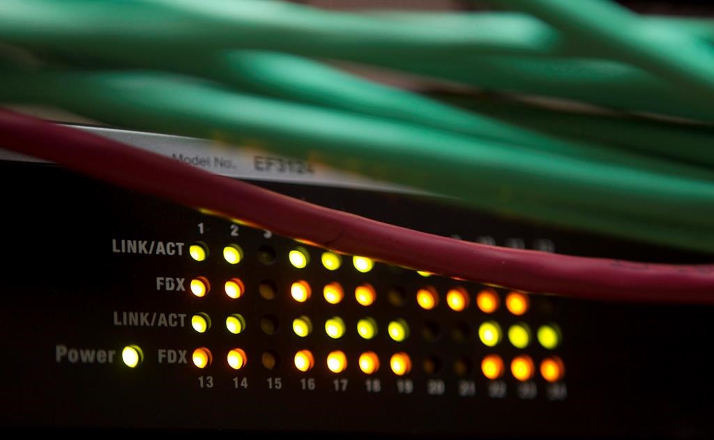 Lights on an internet switch are lit up as with users in an office in Ottawa, on February 10, 2011.