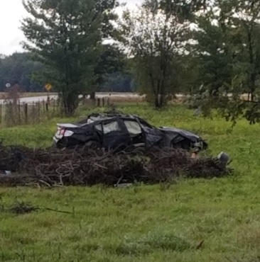 Three people died in a single vehicle collision near Petrolia on October 4, 2019.