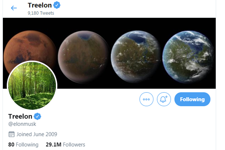 Elon Musk changed his Twitter name to “Treelon” after donating US$1 million to a tree-planting initiative.