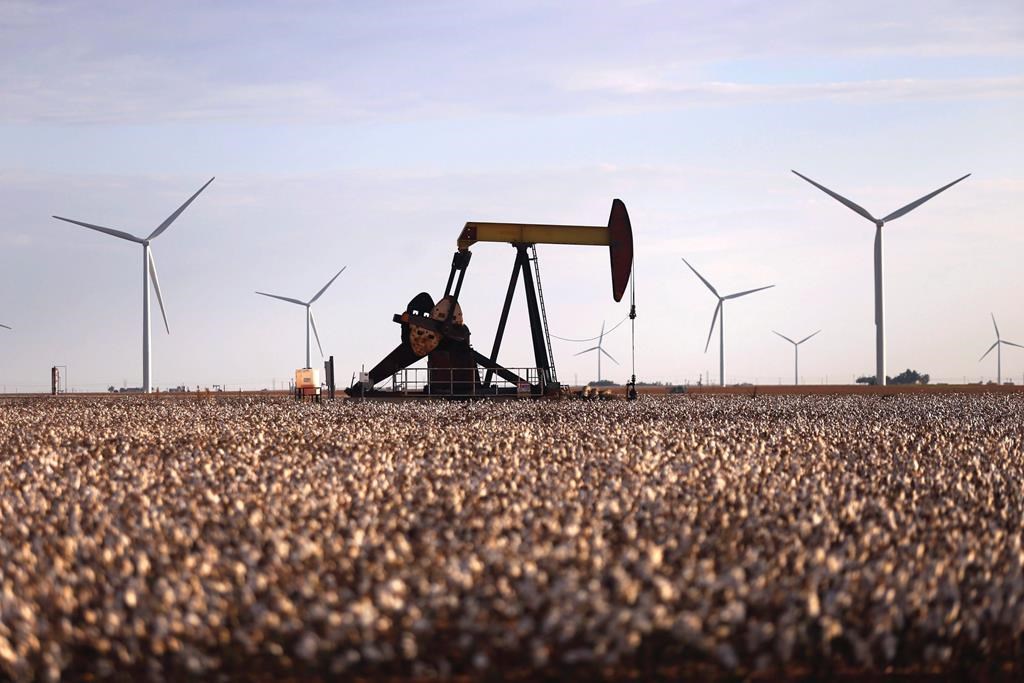 Climate change buzzwords: What do they mean to Albertans? - image