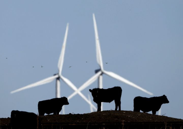 The president of the Canadian Wind Energy Association says the industry has proven it can compete on price with other sources of electrical power but now it must prove it can compete on reliability. 