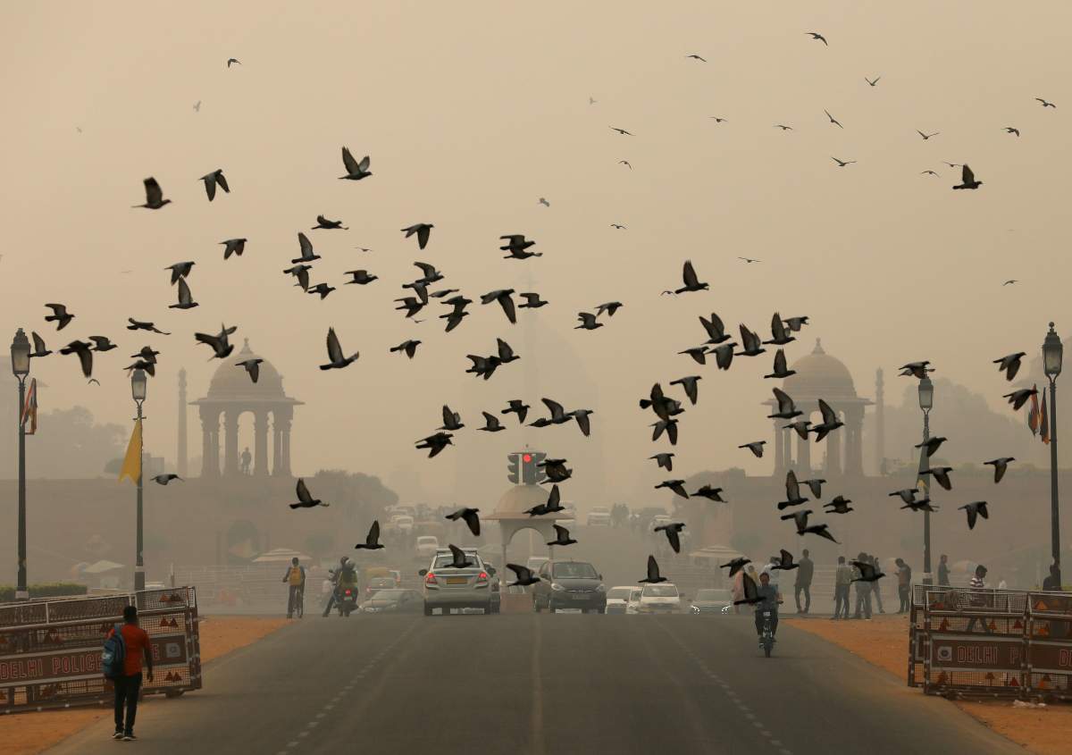 Birds fly as people commute near India’s Presidential Palace on a smoggy day in New Delhi, India, November 1, 2019. REUTERS/Anushree Fadnavis