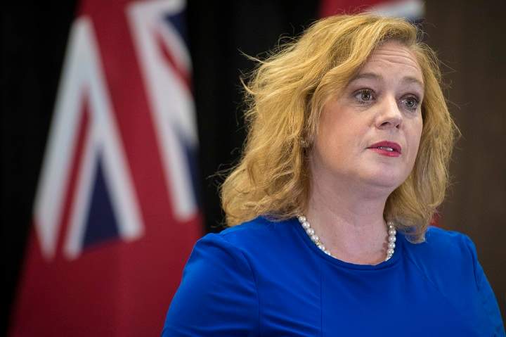 The Ontario government is moving to allow children free access to several attractions across the province, as revealed in the recent fall economic statement.