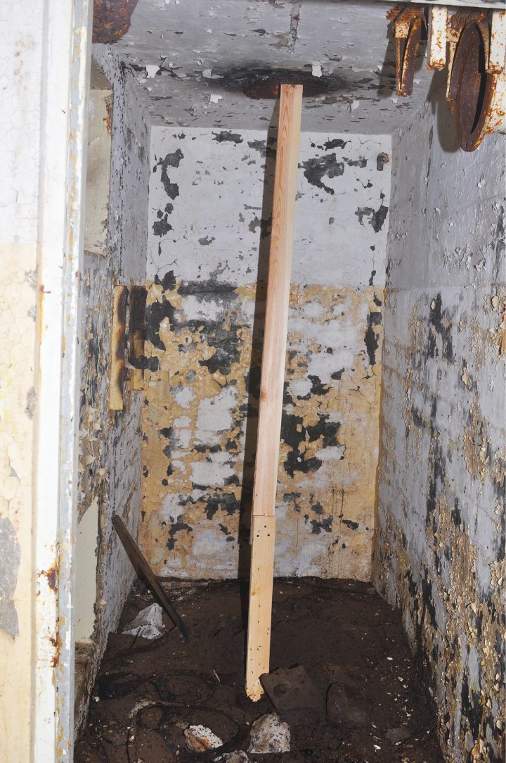 Researchers constructed this bridge for fallen ants to escape a bunker, in this photo taken on Sept. 18, 2016.