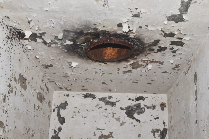 Millions of ants fell down this pipe and could not return to their colony.