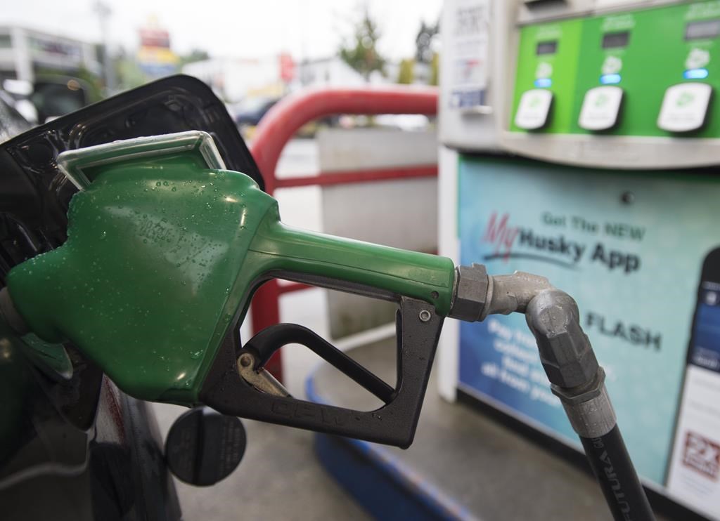 GasBuddy says it pays to shop around as gas prices can vary as much as 20 cents per litre in the same neighbourhood.