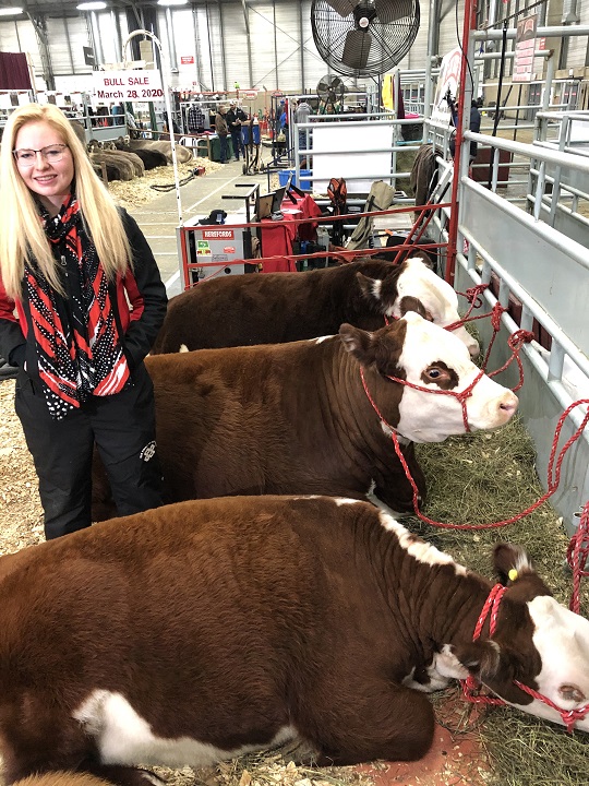 Kailey Wirsta stands by her cattle at Farmfair International in November, 2019