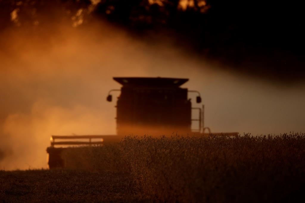Saskatchewan Agriculture says four per cent of the 2020 crop is harvested as SaskPower urges farmers to exercise caution around overhead power lines.