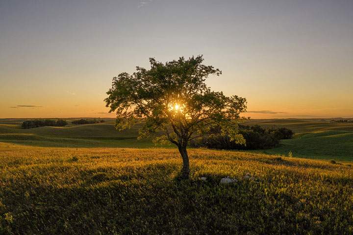 Photographer Jeff Wizniak took this image at Biggar.