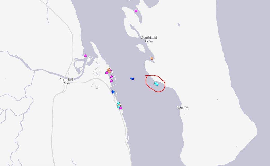 The location of a tug and container barge that ran aground on the southwest tip of Quadra Island on Nov. 9, 2019.