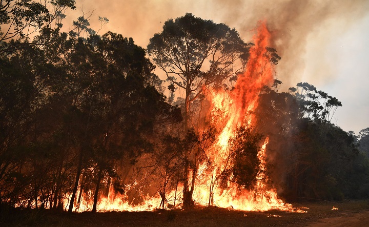 A fire spreads in a bushland near Kioloa, New South Wales, Australia, Dec. 3, 2019.
