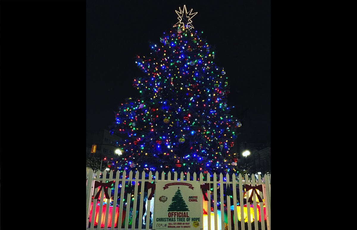 The annual lighting of the Christmas Tree of Hope in downtown Hamilton is a tradition that dates back to 1976.
