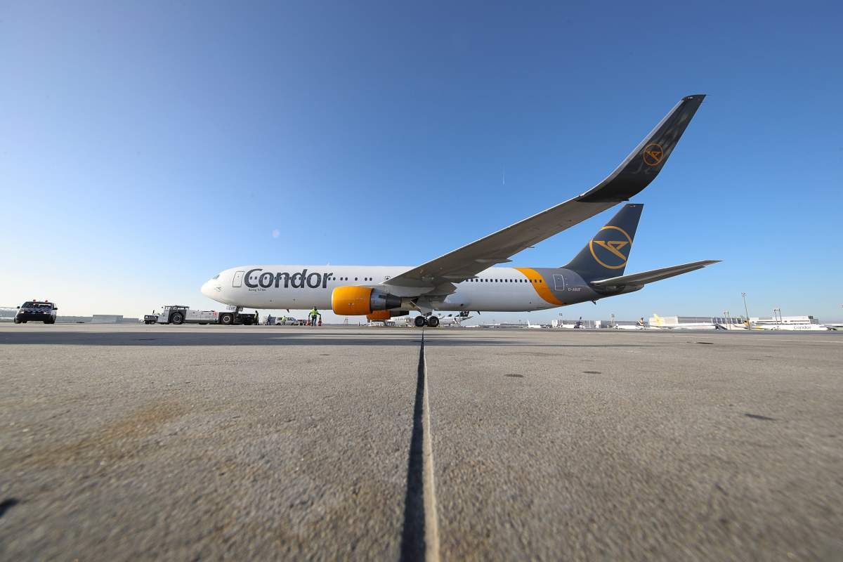 Direct flight to Frankfurt, Germany coming to Edmonton next summer - image