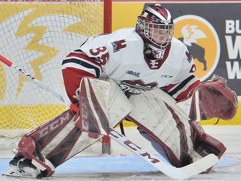 Nico Daws of the Guelph Storm has been named as the OHL's Goaltender of the Year.