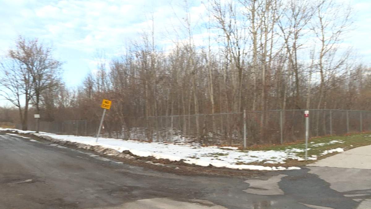 13 hectare Davis Tannery site has ‘profound’ contamination, according to city staff.