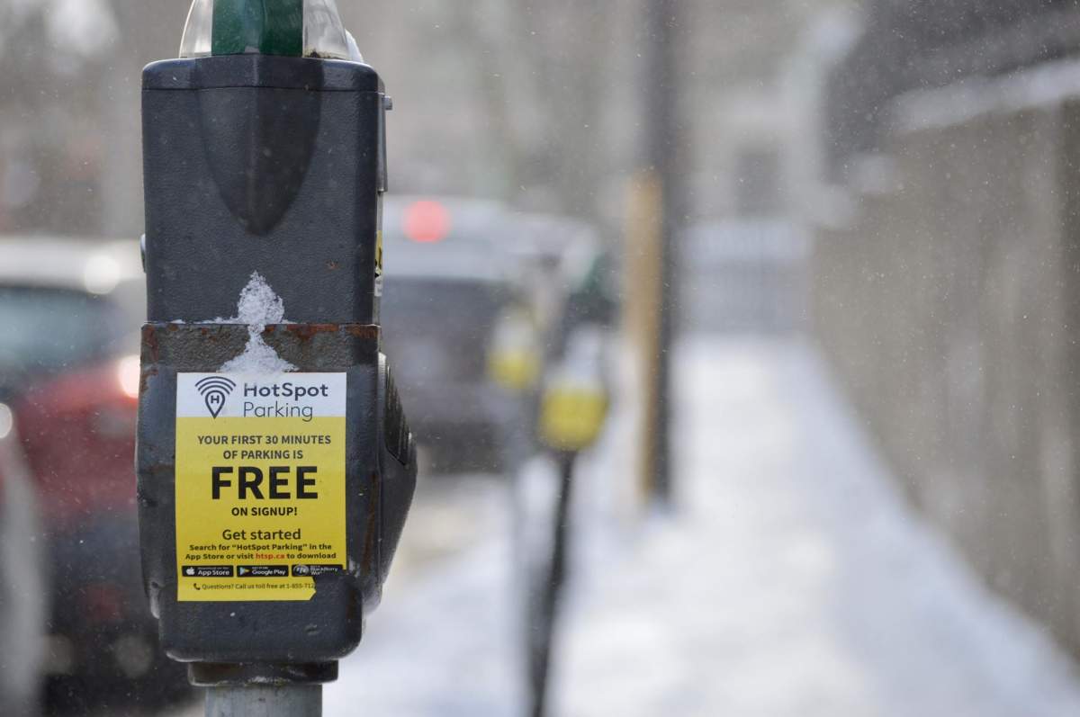 File - A line of parking metres in Halifax.