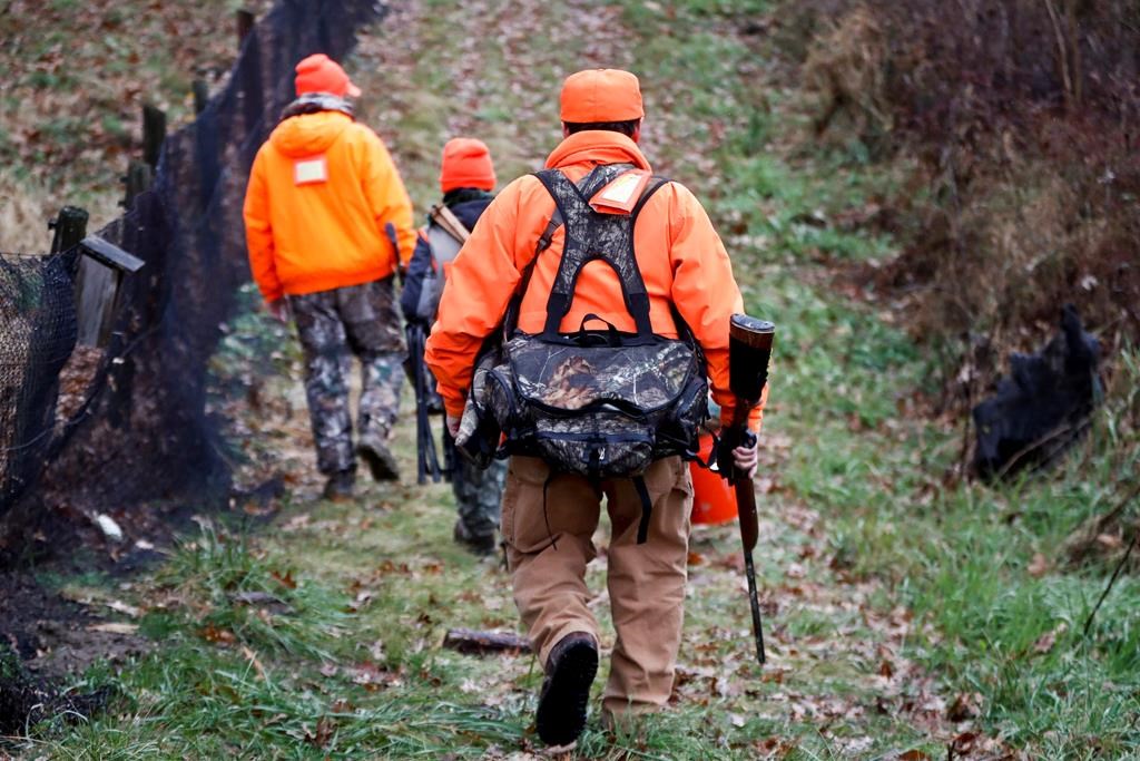Hunters and others are stocking up on guns and ammo during the COVID-19 pandemic due to fears of shortages.