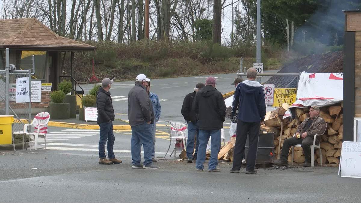 Striking United Steelworkers forestry workers seen on the picket line in Chemainus in January 2020.