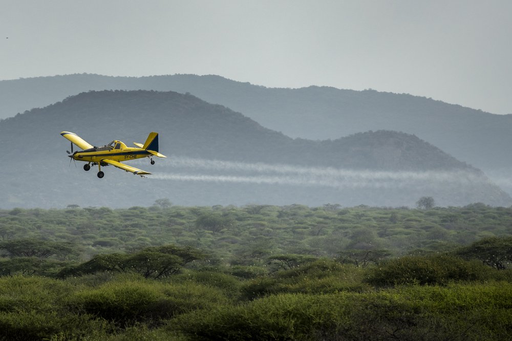 In this photo taken Saturday, Feb. 1, 2020, a plane spraying pesticides flies over a swarm of desert locusts in Nasuulu Conservancy, northern Kenya. As locusts by the billions descend on parts of Kenya in the worst outbreak in 70 years, small planes are flying low over affected areas to spray pesticides in what experts call the only effective control.