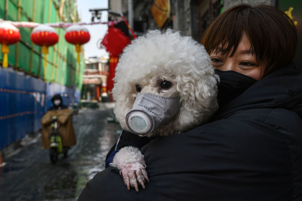 A Chinese woman holds her dog that is wearing a protective mask as well as they stand in the street on Feb. 7, 2020 in Beijing, China.
