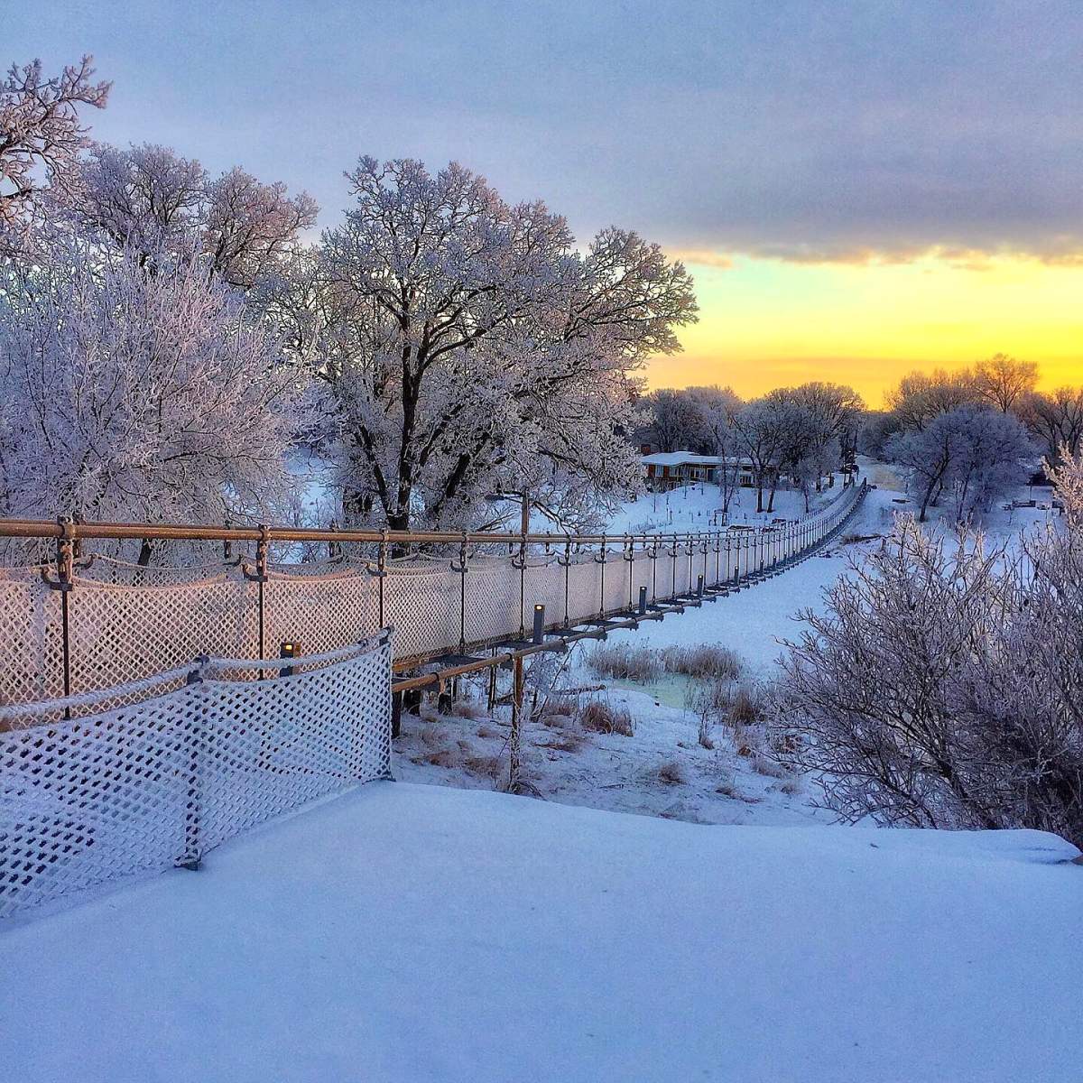 Souris’s replacement swinging bridge is still an attraction but not as much as peacocks have been, Mayor Duane Davison says. Kim do Koning/submitted